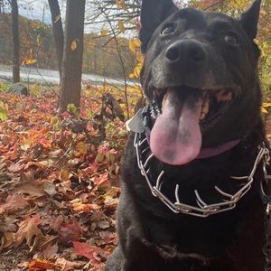 Meet your Posher, Eileen